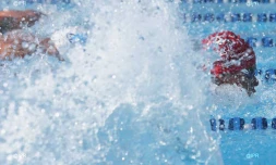 Natation