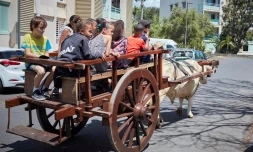 Saint-Denis : un week-end sous la journée européenne du patrimoine 