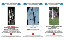 Bons d'achat requins OPR