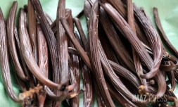 fĂŞte de la vanille