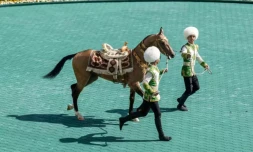 Un cheval akhal-teke lors d'un concours le 25 avril 2026 à Achkhabad, la capitale du Turkménistan ( AFP / STRINGER )