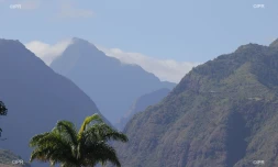 météo réunion 