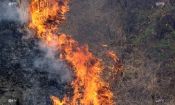 Le feu de végétation maitrisé