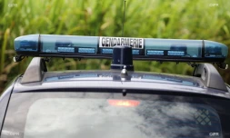 gendarmerie 