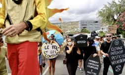 Marche pour le climat
