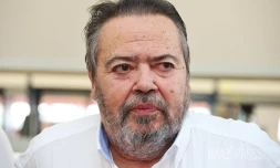 michel fontaine 