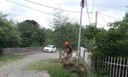dengue nettoyage
