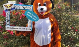 Journée mondiale du chien