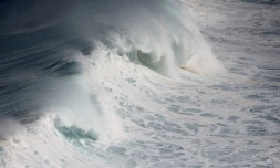 houle en bord de mer avec de grosses vagues