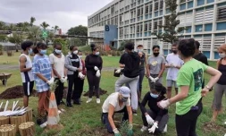 Lycéens plantes médicinales