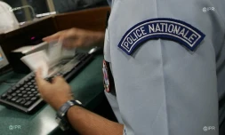 Police de l'air et des frontières 