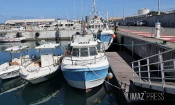 filière pêche transformation de poissons chez Réunimer 