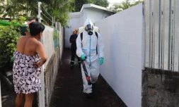 Les pompiers en action pour éradiquer la dengue 