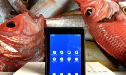 tablette numérique marinisée ARIPA