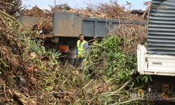 déchets vert Ileva au Port