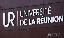 université de la réunion