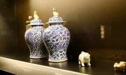 Saint-Louis : une exposition sur le symbolisme de l'animal 