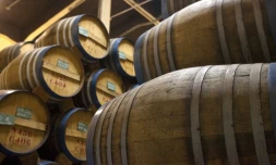 distillerie de savanna