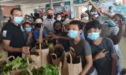 Opération Bann frui èk légim péi : le plein de vitamines au collège des Tamarins