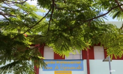 Lycée 