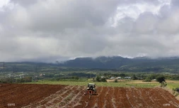 agriculture 