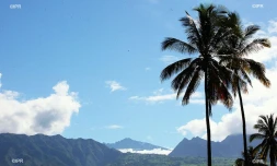 météo réunion 