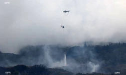 Incendie du Maïdo 9 novembre 2020