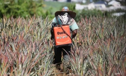 pesticide 