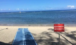 La plage du centre de Saint-Leu interdite en raison d'une pollution encore inconnue