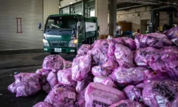 Des couches recyclées dans une usine de recyclage à Osaki, au Japon, le 15 janvier 2026 ( AFP / Philip FONG )
