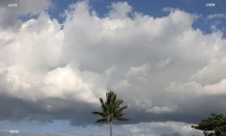 météo réunion 