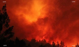Feu du Maïdo