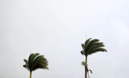 météo réunion 
