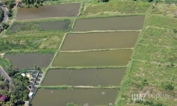 traitement des eaux usées étang salé 