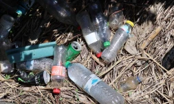 déchets plastiques 