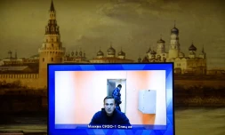 Lexexeï Navalny le 28 janvier 2021 témoignant par vidéo devant un tribunal de Moscou