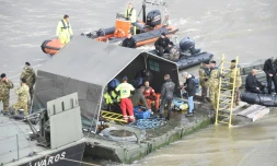 Des plongeurs et des équipes de sauveteurs recherchent des survivants après le naufrage d'un bateau de touristes sur le Danube, le 30 mai 2019 à Budapest