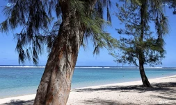 Plage L'Hermitage