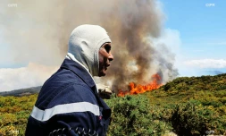 Incendie Maïdo 2020