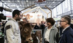 "Produire plus": la ministre Annie Genevard donne sa vision de la souveraineté alimentaire 