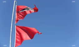 drapeaux requins