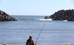 Port de Sainte-Marie ensable