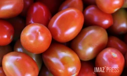 marché forain tomates 