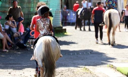 Foire agricole de Bras Panon