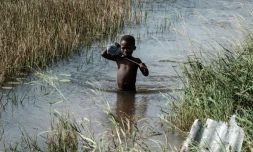 139 cas de choléra ont été enregistrés au Mozambique