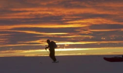 Festivals et projections de mai