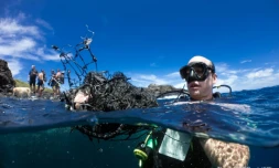 Cap Lahoussaye, nettoyage