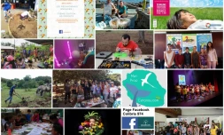 semaine du développement durable, bilan, environnement