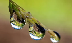 goutte d\'eau