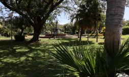 jardin de la mairie de Saint-Pierre 